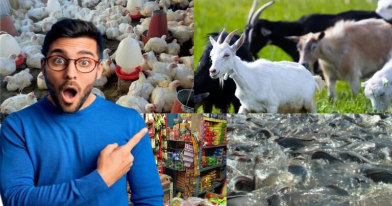 Small Investment Businesses (স্বল্প পুঁজির ব্যবসা)