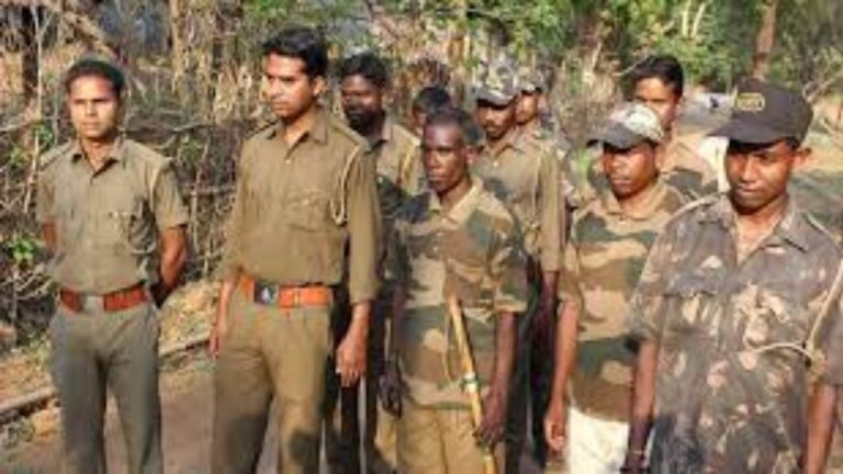 WhatsApp Image 2024 07 01 at 7.13.00 PM