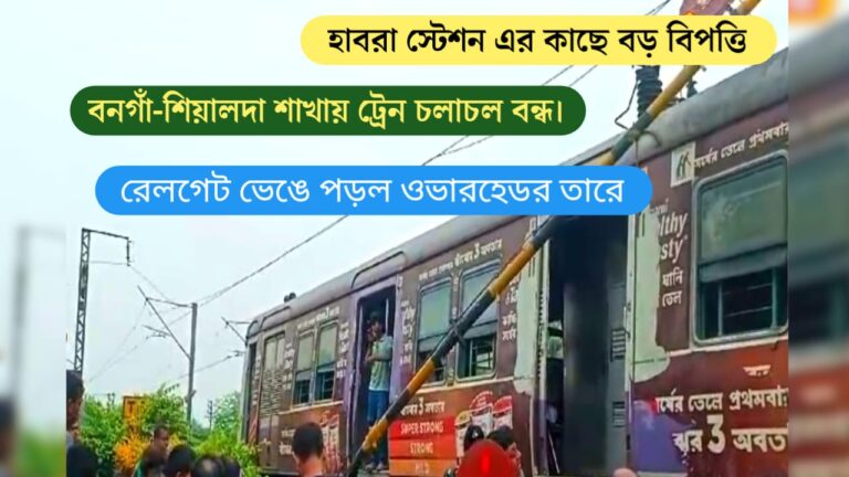 WhatsApp Image 2024 07 01 at 9.59.05 AM