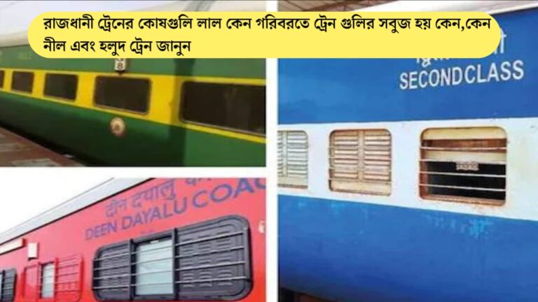 WhatsApp Image 2024 07 07 at 12.46.19 AM