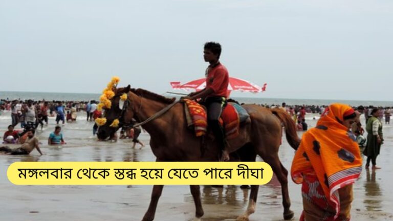WhatsApp Image 2024 08 12 at 4.40.44 PM
