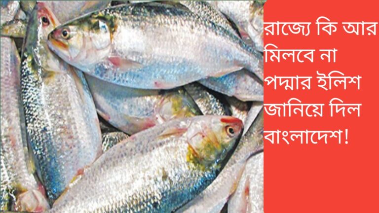 WhatsApp Image 2024 08 13 at 10.31.32 PM