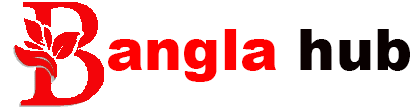 Bangla Hub